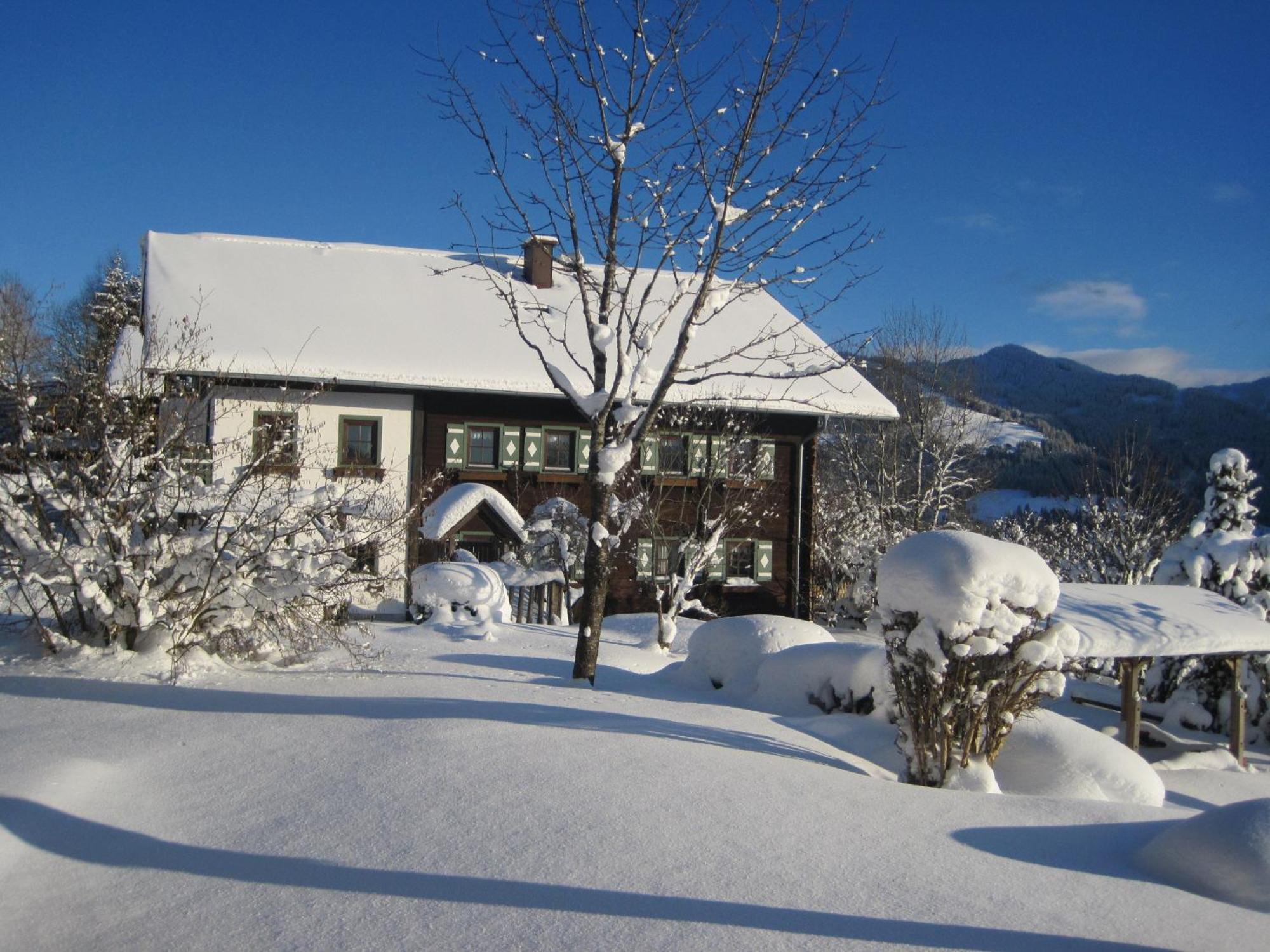 Apartment Deml Flachau Zewnętrze zdjęcie