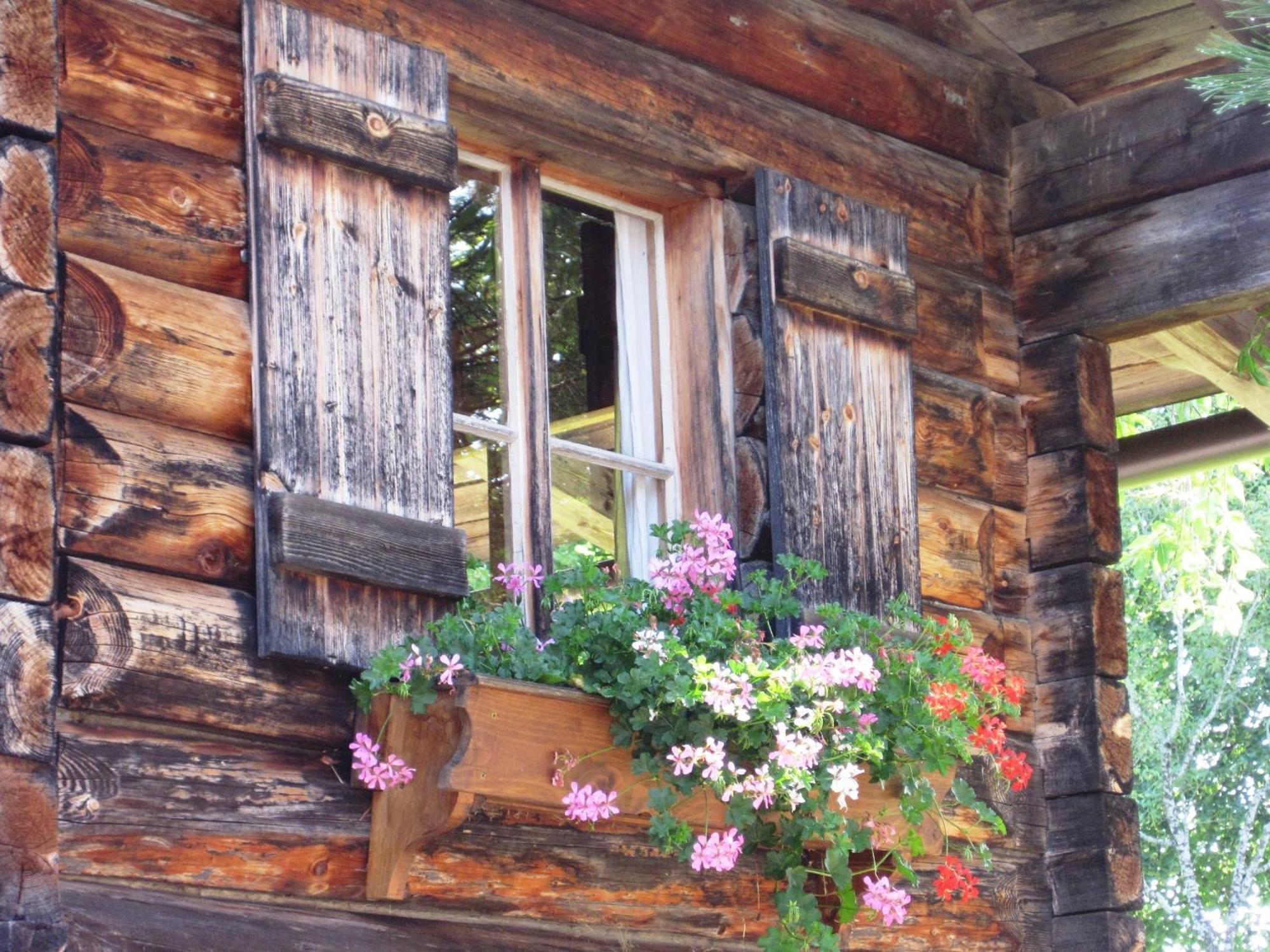 Apartment Deml Flachau Zewnętrze zdjęcie