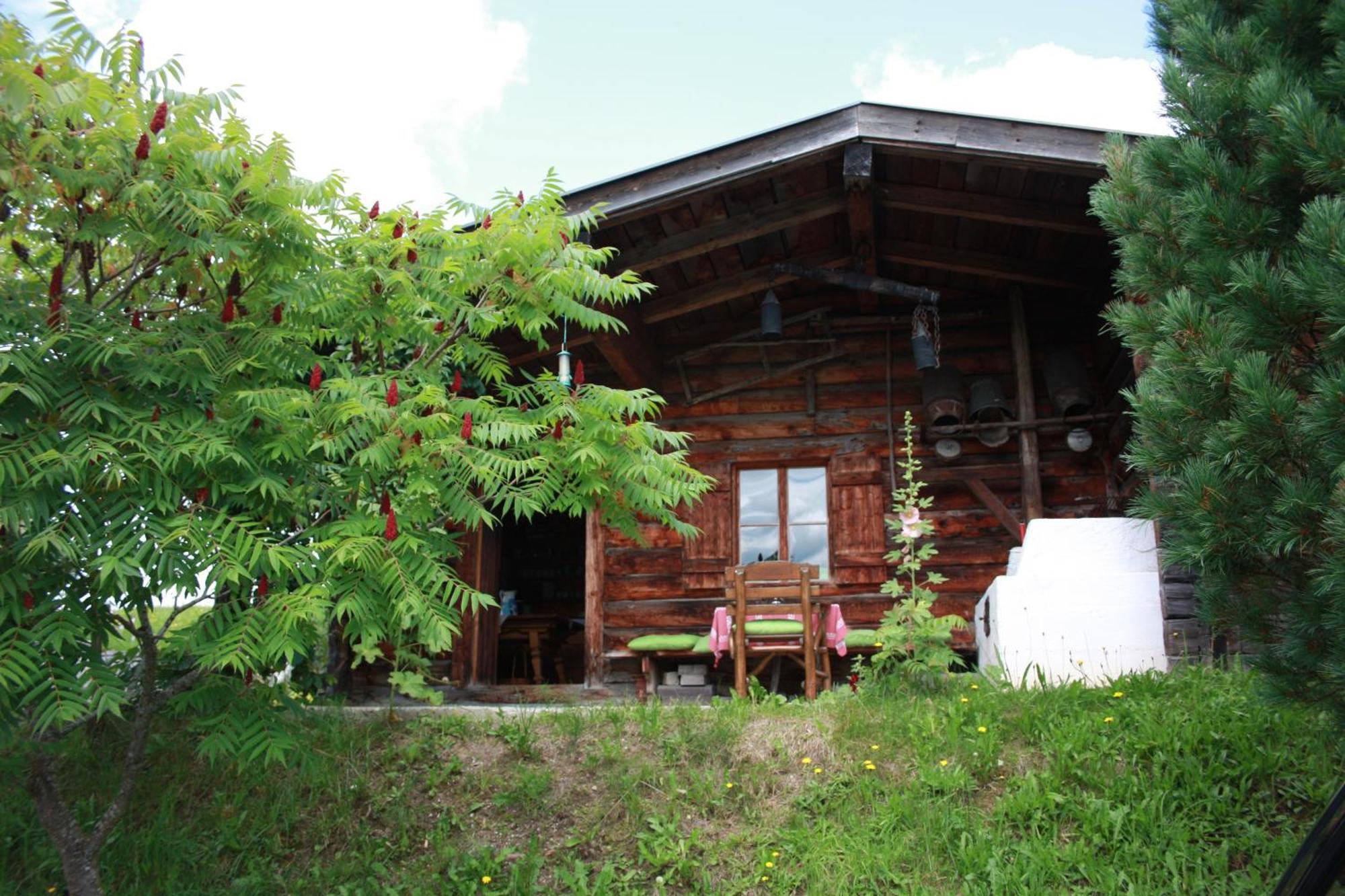 Apartment Deml Flachau Zewnętrze zdjęcie