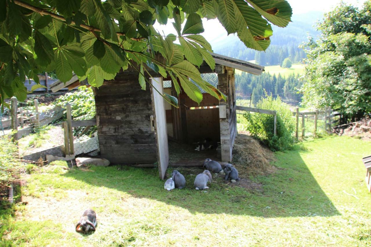 Apartment Deml Flachau Zewnętrze zdjęcie